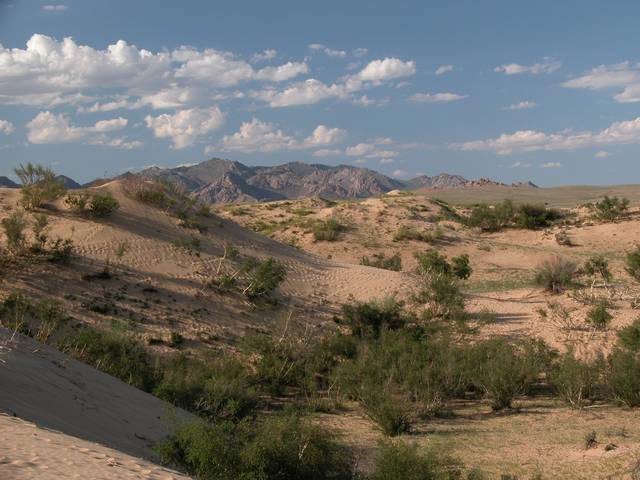 DSCN0455.jpg