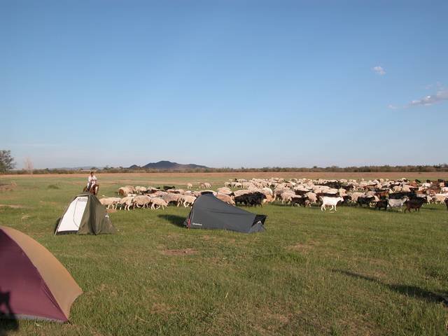 DSCN0458.jpg