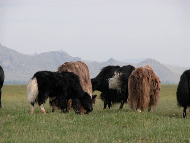 DSCN0561.jpg