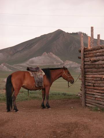 DSCN0592.jpg