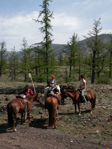 DSCN0625.jpg