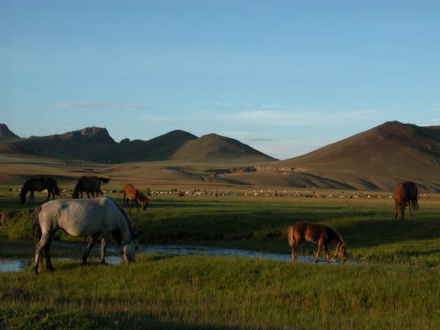 DSCN0116.jpg
