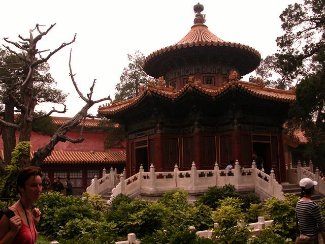 DSCN0208.jpg