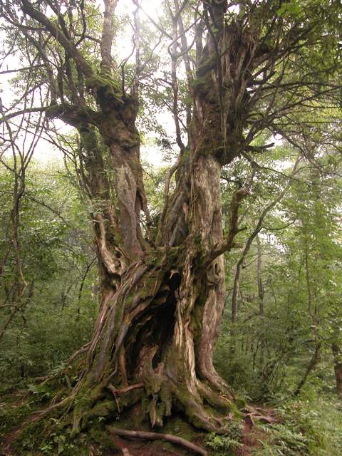 DSCN0284.jpg