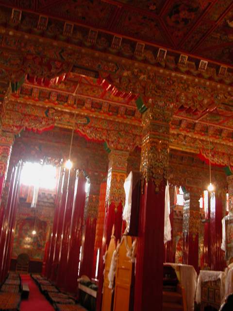 DSCN0508.jpg