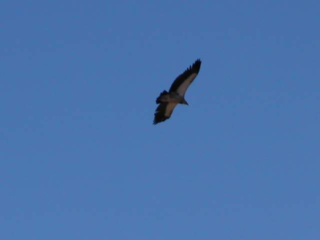 DSCN0430.jpg