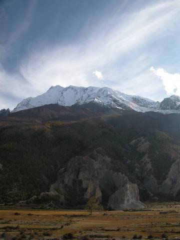 DSCN0147.jpg
