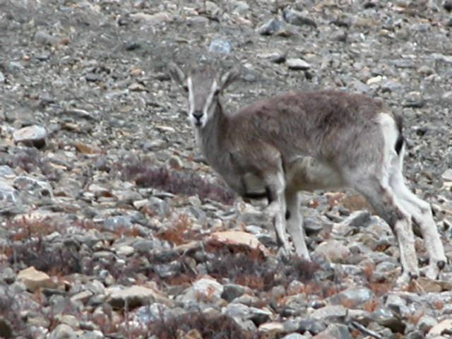 DSCN0209.jpg