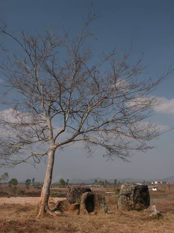 KSCN0239.jpg