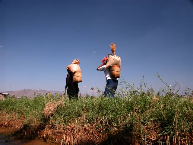 DSCN0196.jpg