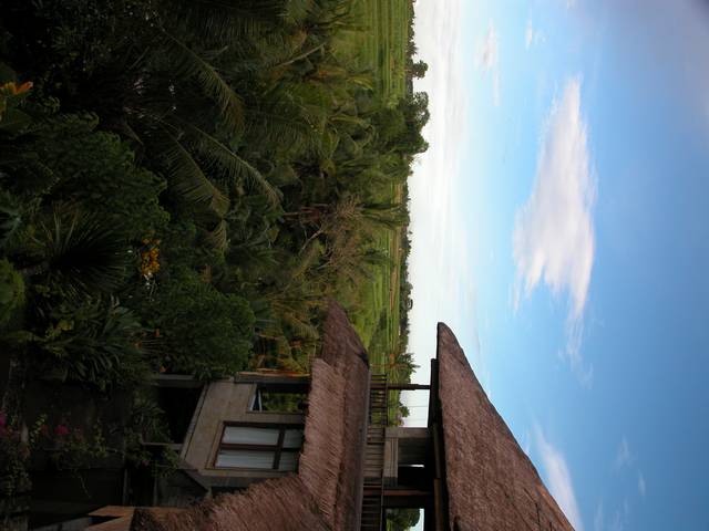 DSCN0273.jpg