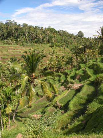 DSCN0361.jpg