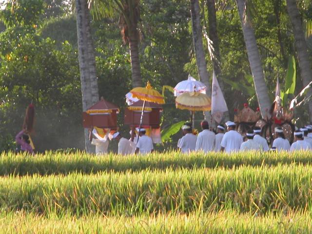 DSCN0367.jpg