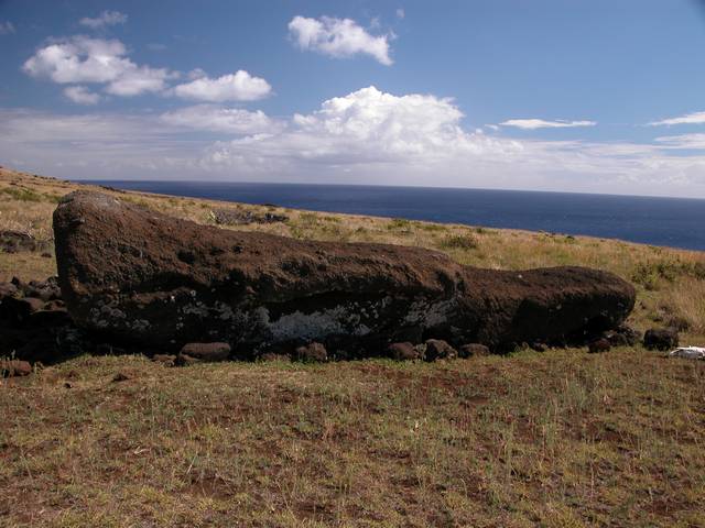 DSCN0102.jpg