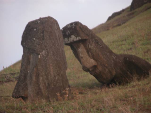 DSCN0252.jpg