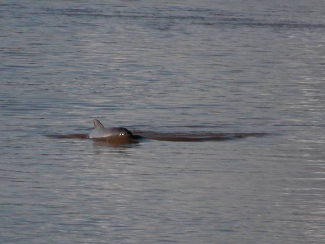 ESCN0008.jpg