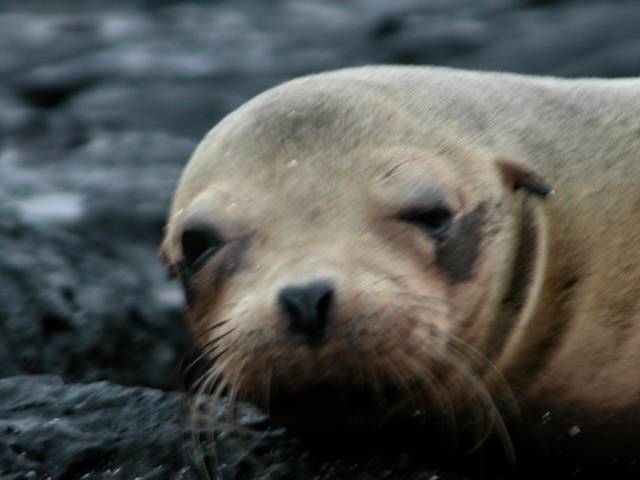 DSCN0041.jpg
