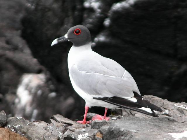 DSCN0213.jpg
