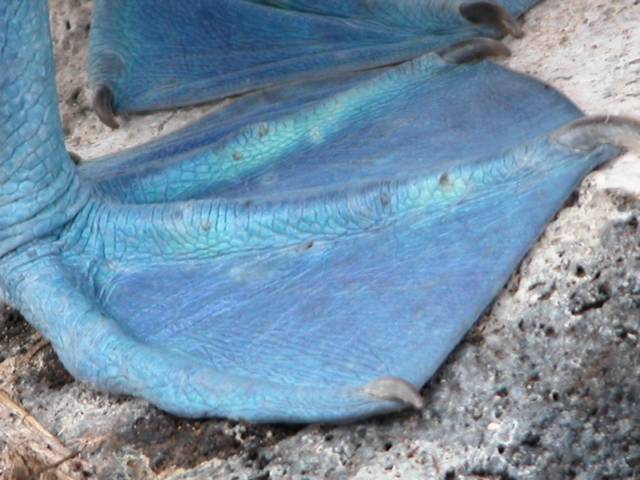 DSCN0262.jpg