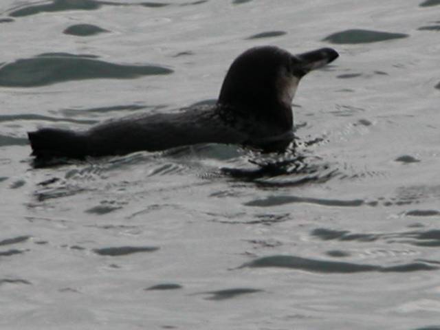 DSCN0317.jpg