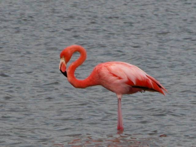 DSCN0447.jpg